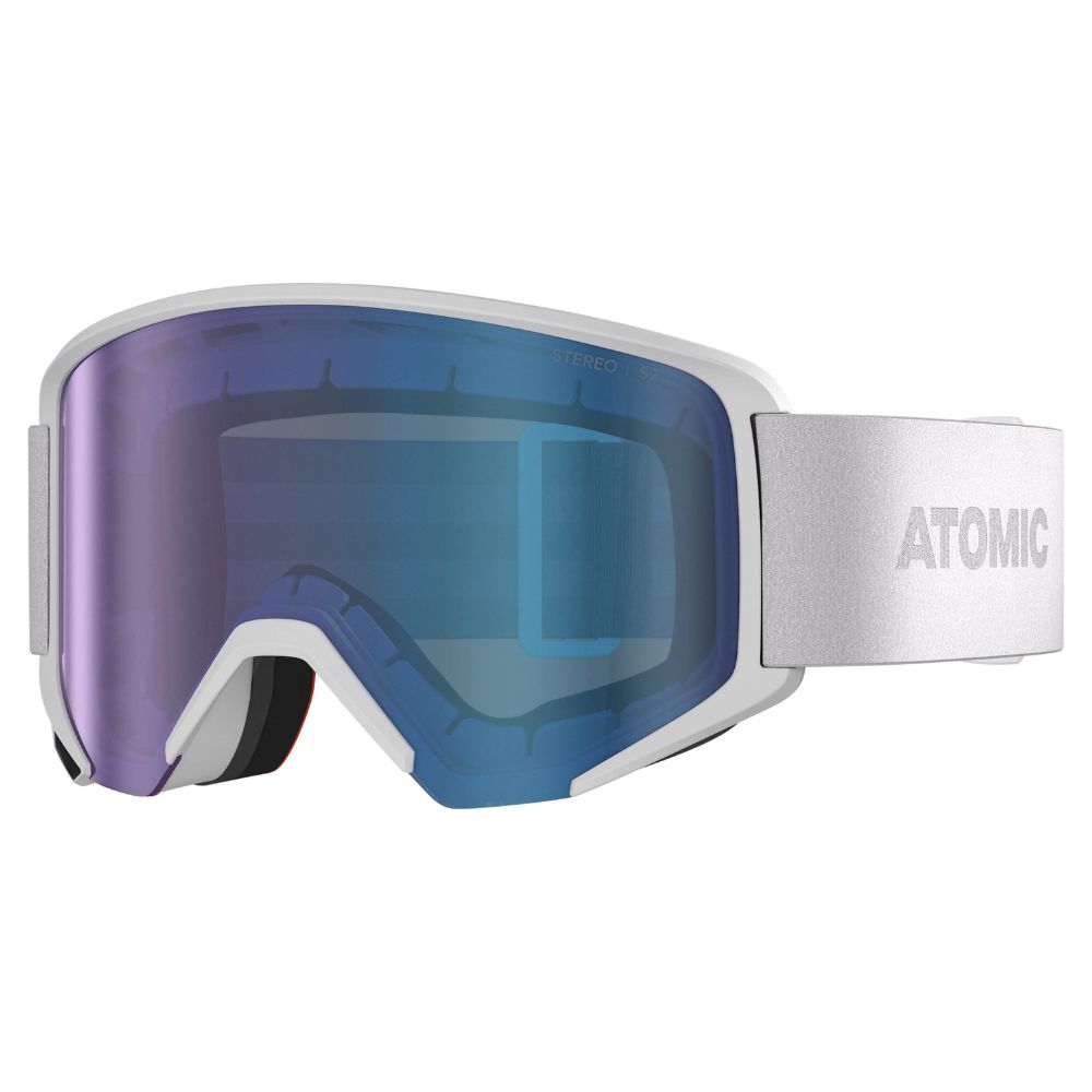Ski Goggles