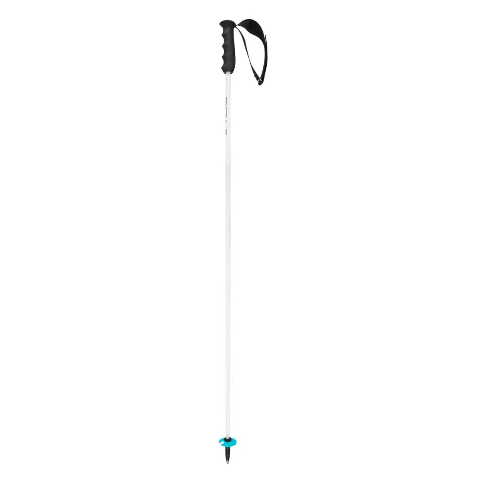 HEAD WORLDCUP REBELS CARBON POLES