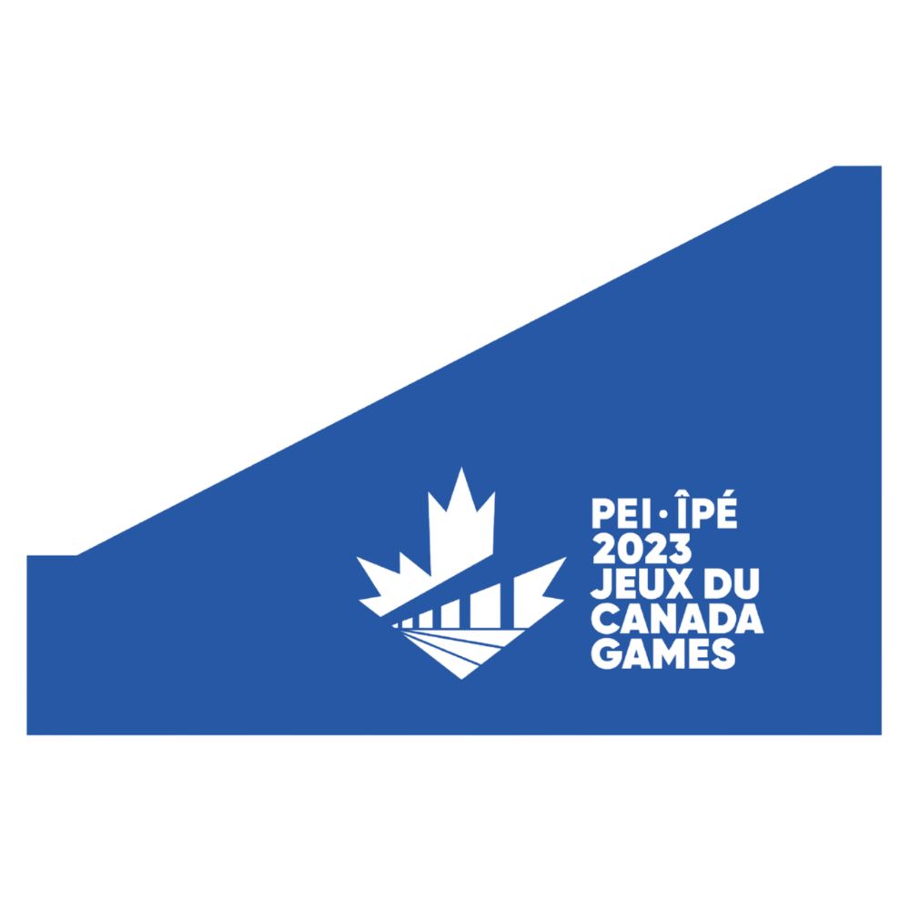 SNOWBOARD/MTB FLAGS